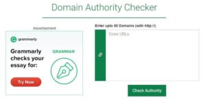 Small SEO Tools Domain Authority Checker