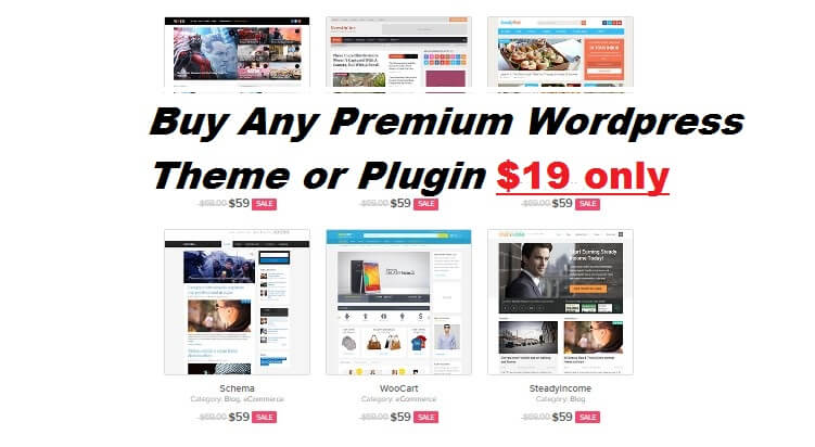 buy any wordpress theme $19